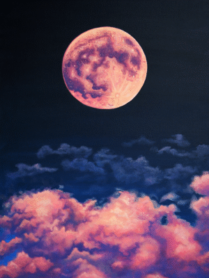 Obraz "Moon" 50x60cm