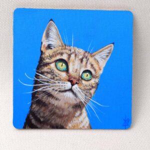Blue Sky Cat - Wooden Cup Coaster