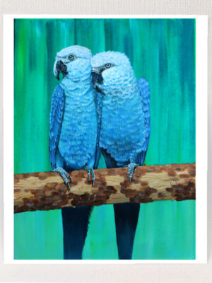 Feathered Affection – Parrots - Art Print DRAFT